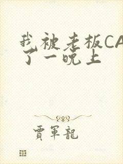 我被老板CAO了一晚上封面