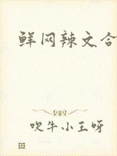 鲜网辣文合集