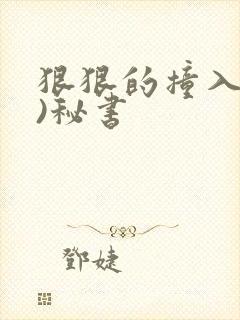狠狠的撞入(h)秘书