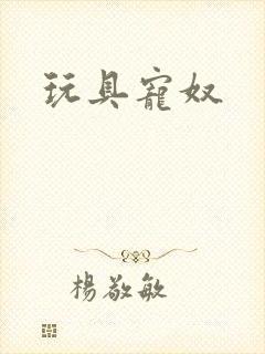 玩具宠奴