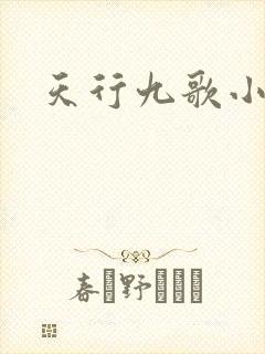 天行九歌小说