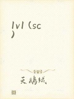 1v1 (sc)