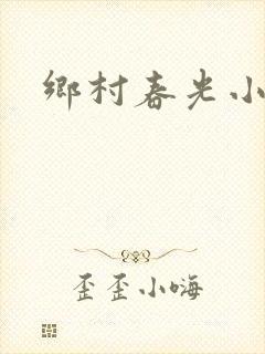 乡村春光小说