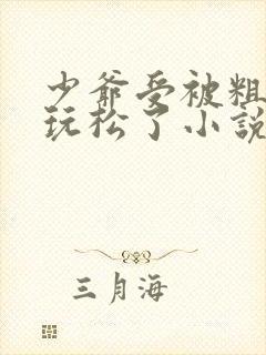 少爷受被粗汉H玩松了小说封面