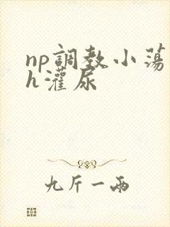 np调教小荡货h灌尿