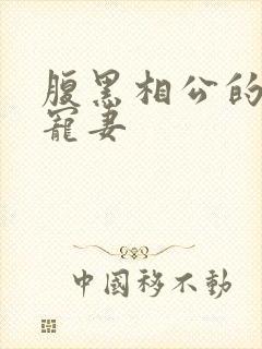 腹黑相公的庶女宠妻