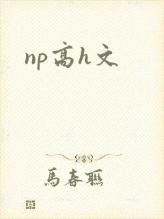 np高h文封面