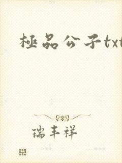 极品公子txt封面