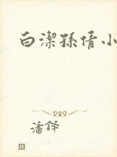 白洁孙倩小说封面