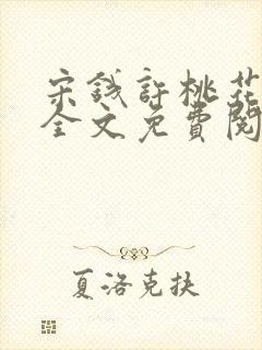 宋钱许桃花小说全文免费阅读封面