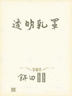透明乳罩