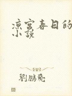 凉宫春日的忧郁小说