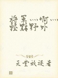 将军灬啊灬啊灬轻点野外封面