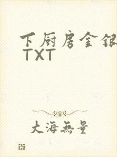 下厨房金银花露 TXT封面