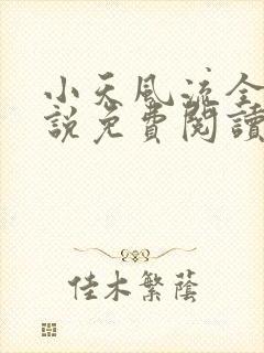 小天风流全集小说免费阅读封面
