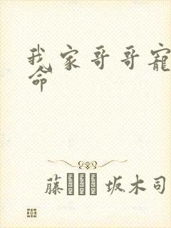 我家哥哥宠妹如命