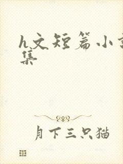 h文短篇小说合集