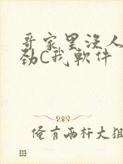 哥家里没人使点劲C我软件