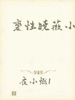 变性晓薇小说封面