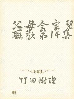 父母全家儿女大联欢第14集