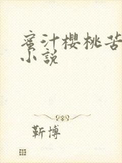 蜜汁樱桃苦咖啡小说封面