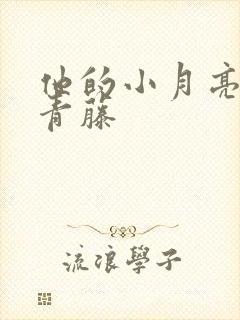 他的小月亮by青藤封面