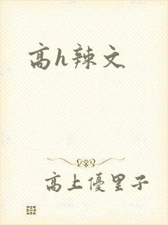 高h辣文