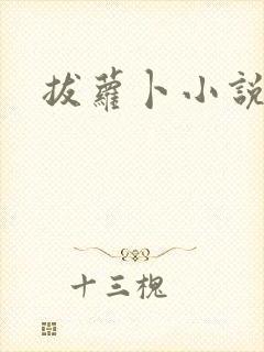 拔萝卜小说