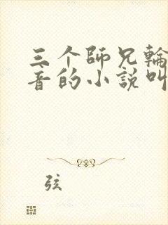 三个师兄轮流上音的小说叫什么