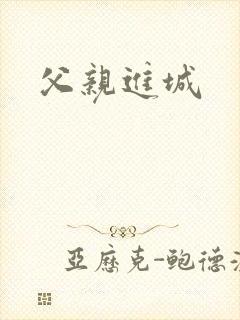 父亲进城封面