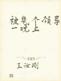 被几个领导玩弄一晚上