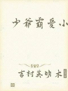 少爷霸爱小丫头封面
