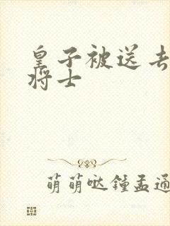 皇子被送去犒劳将士