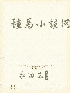 种马小说网