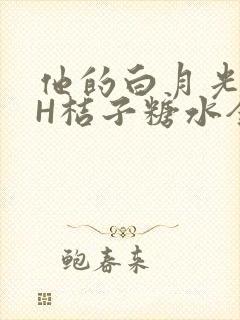 他的白月光HVH桔子糖水全文封面