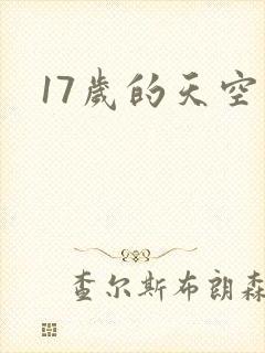 17岁的天空