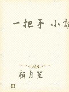 一把手 小说封面
