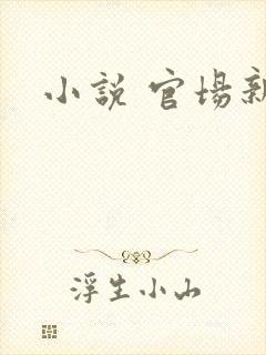 小说 官场新贵