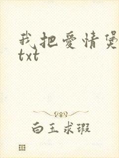我把爱情煲成汤txt封面