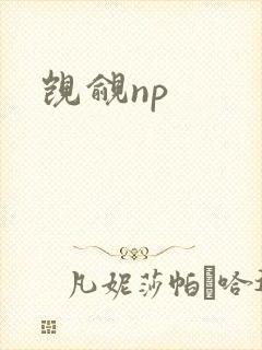觊觎np封面