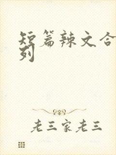 短篇辣文合集系列