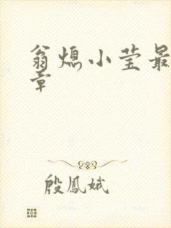 翁熄小莹最新节章