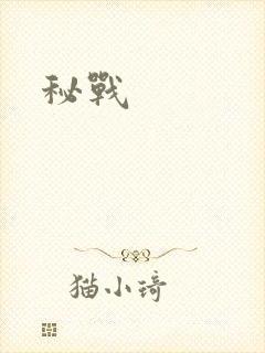 秘战