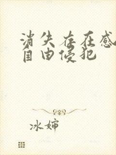 消失存在感消失自由侵犯