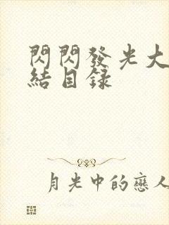 闪闪发光大团圆结目录