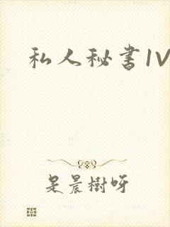 私人秘书1V1