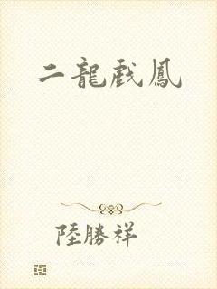 二龙戏凤
