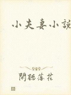 小夫妻小说封面