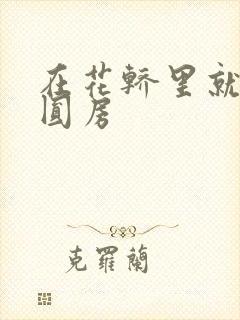 在花轿里就开始圆房封面
