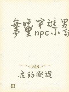 每晚穿进男神的梦里npc小说